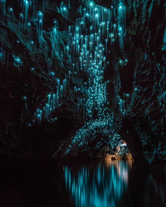 Explore the Enchanting Waitomo Glowworm Caves in New Zealand