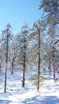 瓦屋山雪景：冬日仙境嘅正確打開方式