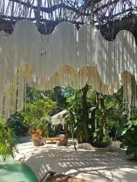 為了這家鳥巢餐廳專門飛了一趟Tulum…