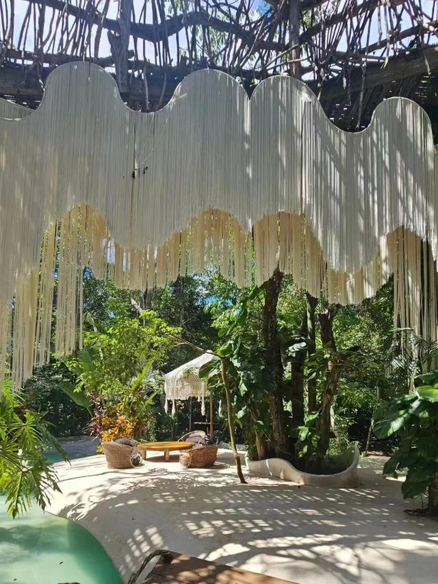為了這家鳥巢餐廳專門飛了一趟Tulum…