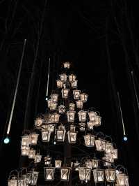 Experience the Enchanting Christmas Lights at Karuizawa's Starry Forest