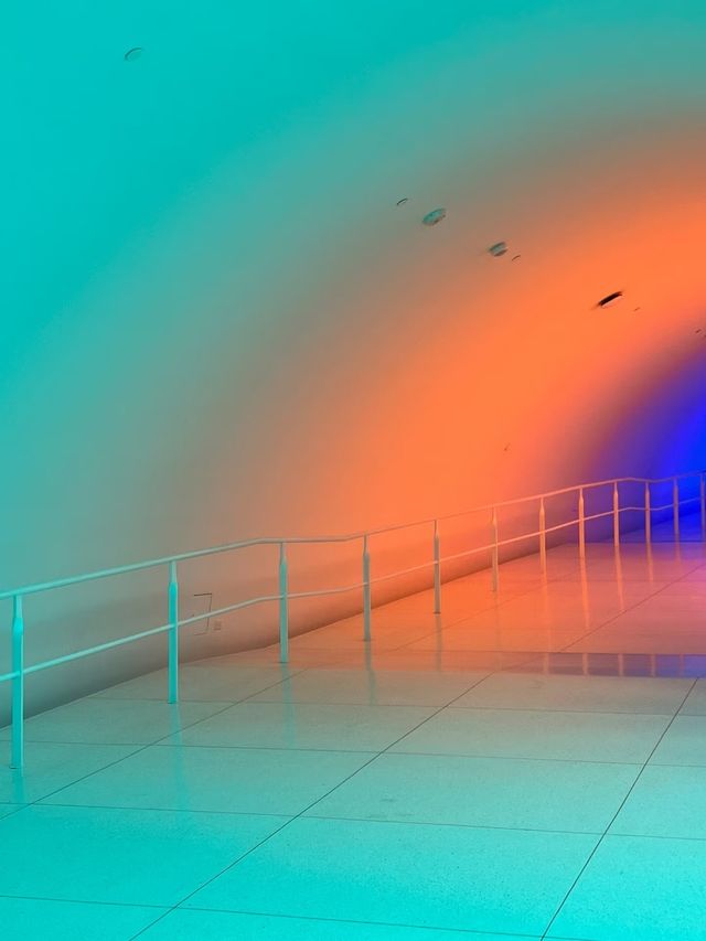 【休斯頓美術館」MFAH 】
