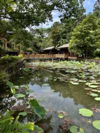 真溫泉就在廣東河源