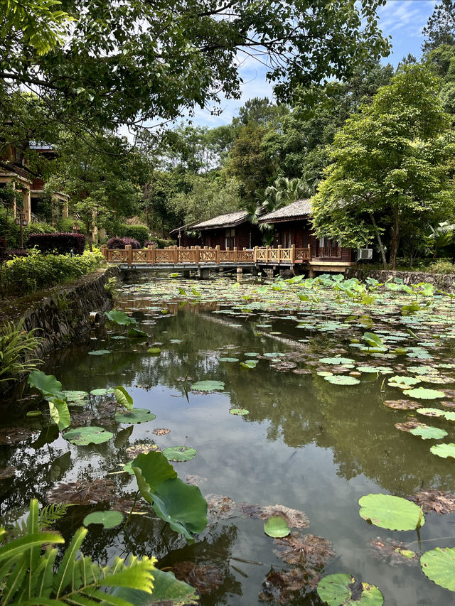 真溫泉就在廣東河源