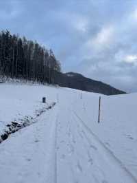 聖沃爾夫岡，雪後的這座小鎮太美了！