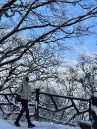 西安出發40分鐘 | 秦嶺冬日雪國秘境登高賞雪