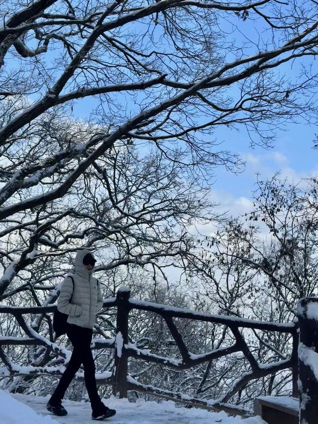 西安出發40分鐘 | 秦嶺冬日雪國秘境登高賞雪