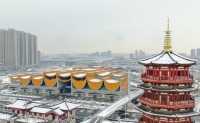 洛陽丨初雪