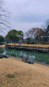 坐標上海！西岸自然公園遛娃一站式攻略Get～
