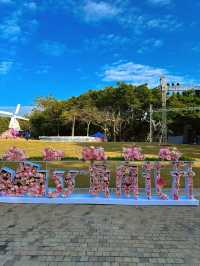 ——深圳市荷蘭花卉小鎮：鬱金香年花市的絢麗之景