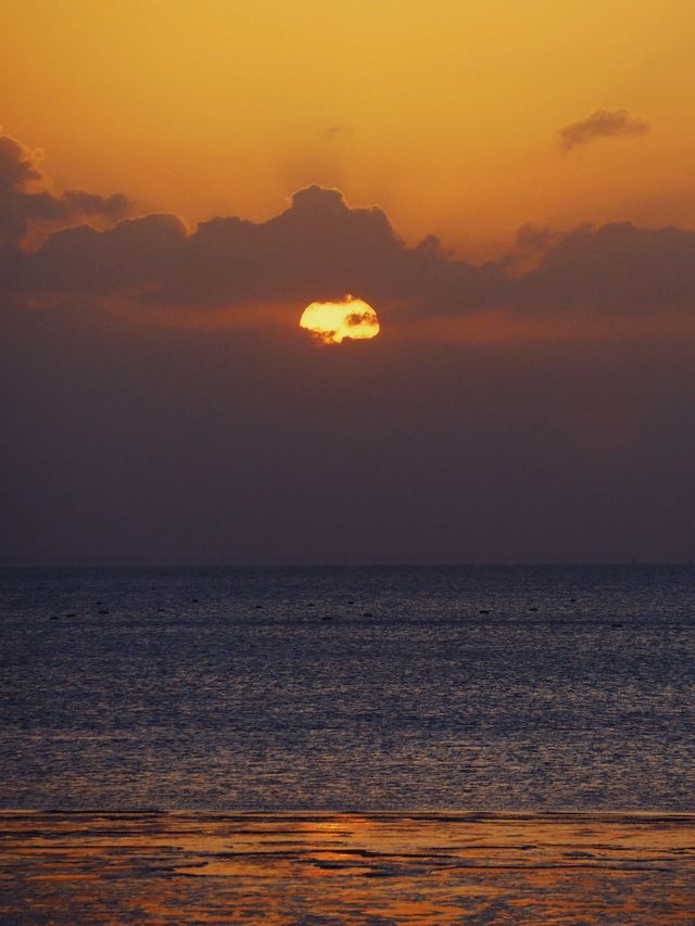 逃離都市喧囂，海鹽觀海園邀你聆聽海浪的聲音