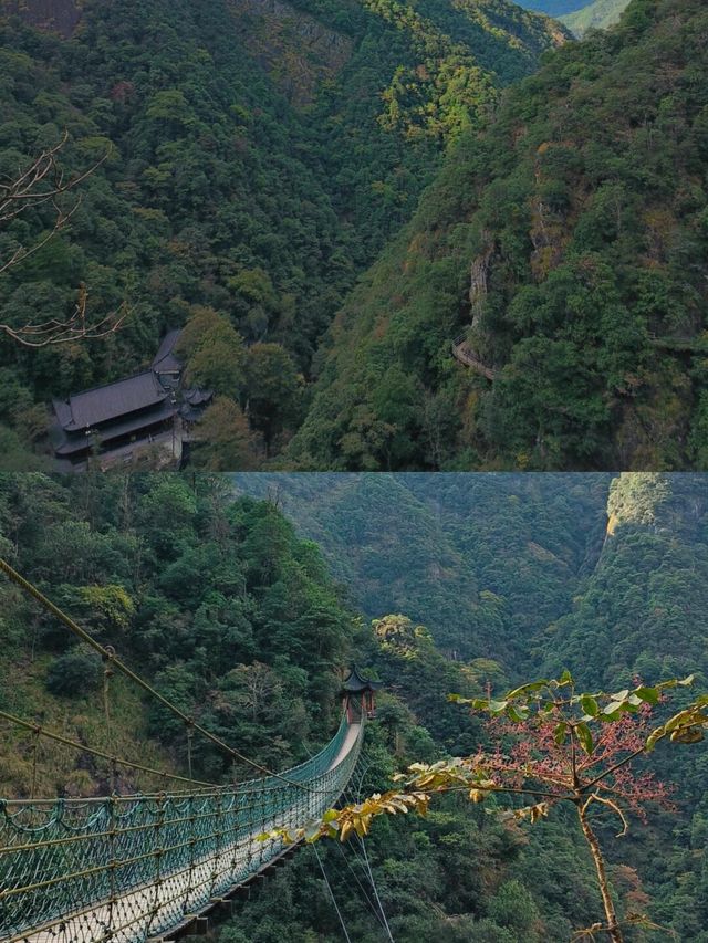 武義牛頭山國家森林公園遊玩全攻略