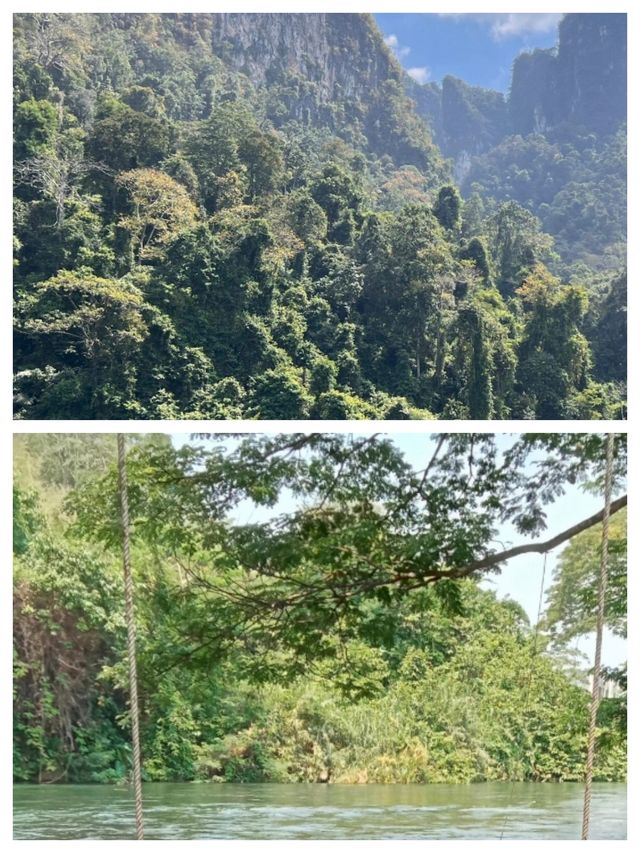 探索湄梭：泰國南部的璀璨明珠