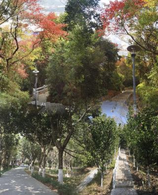 被我搵到啦!廣州小「張家界」