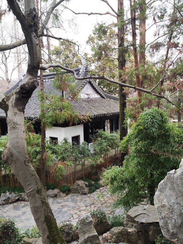 冬天的曲水園 冬天的曲水園