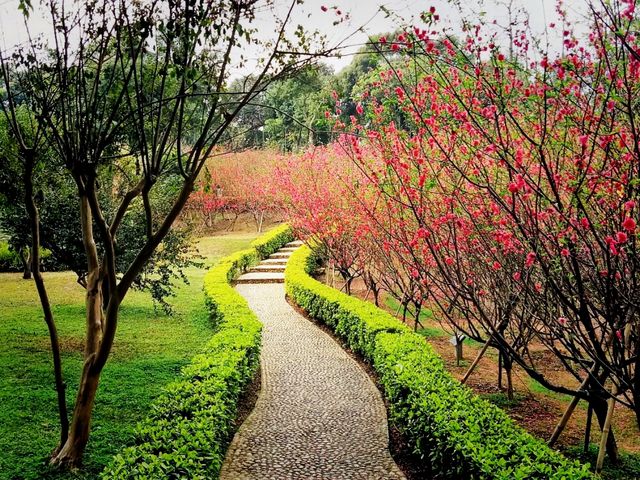 XiQiao Mountain: Evergreen Realm of Guanying Goddess
