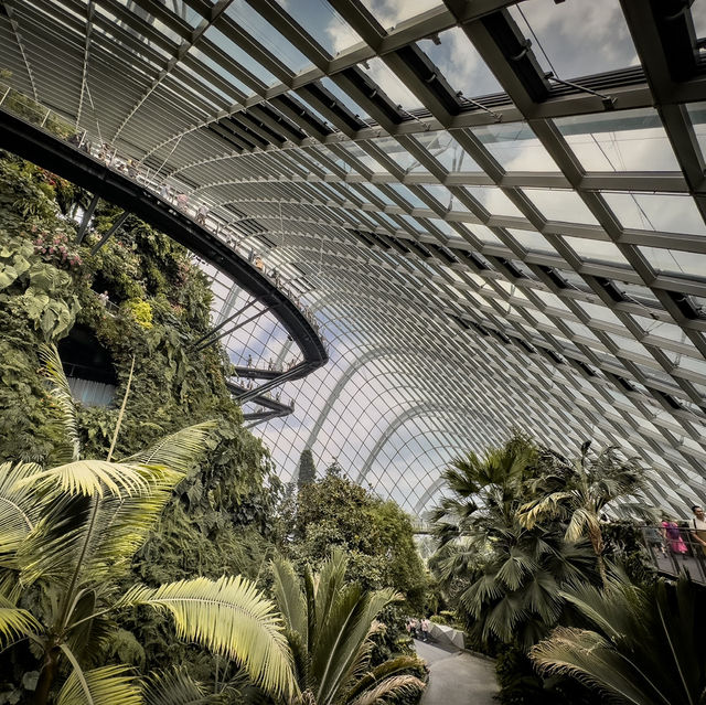 Cloud Forest is a MUST SEE!