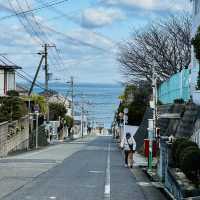 打卡日本大阪阪南里海公園