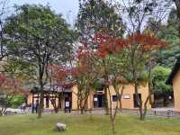 江西風景獨好：吉安·井岡山紅色之旅