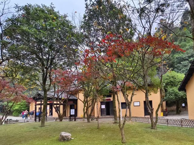 江西風景獨好：吉安·井岡山紅色之旅