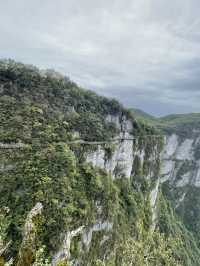 冬日要去長沙-張家界-天門山旅遊攻略來啦