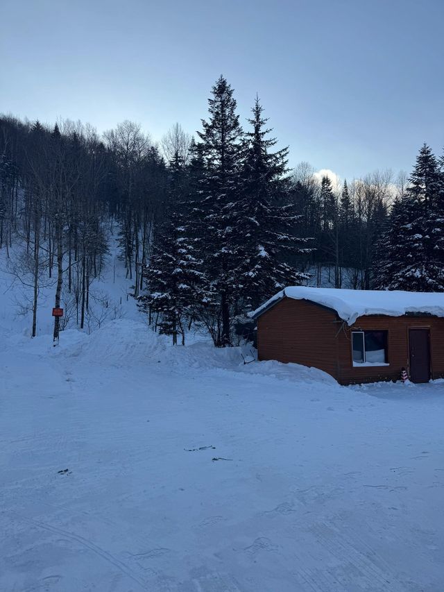哈爾濱-雪鄉滑雪之旅一篇文章帶你食住玩樂