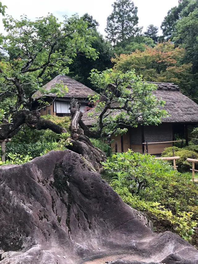 5-Day Japan Winter Travel Guide