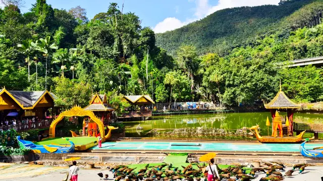 西雙版納叢林飛躍怎樣玩