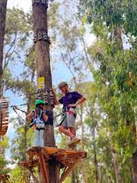Big Tree Forest Adventure is so Memorable❤️