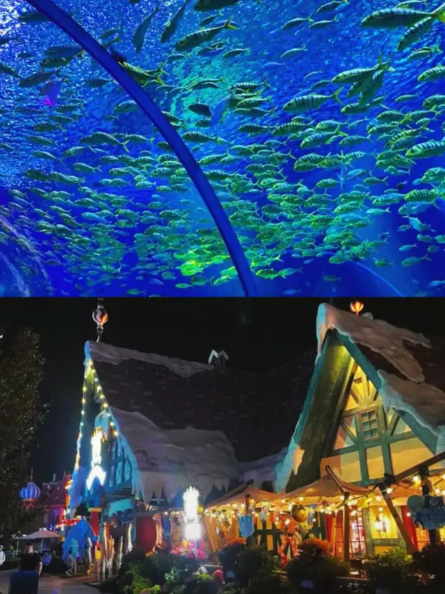 The most beautiful aquarium in the world? Is it Shanghai Haichang Ocean Park? 
