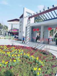上海的小西湖—楊浦公園探尋