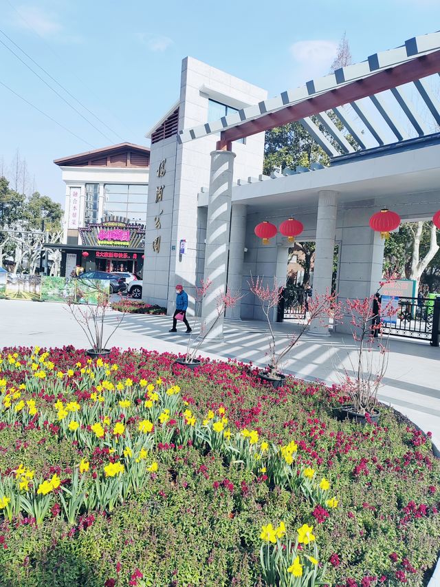 上海的小西湖—楊浦公園探尋