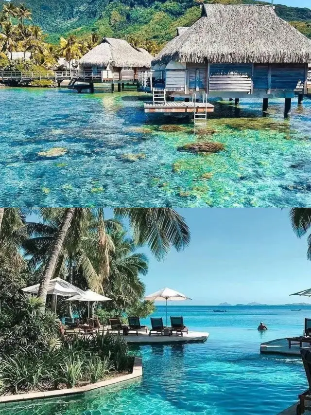 Goodbye Maldives! I want to visit Fiji, it's so beautiful!