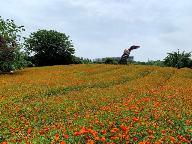 步入花海