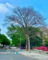 佛山順德大都村CityWalk，解鎖寶藏村落！