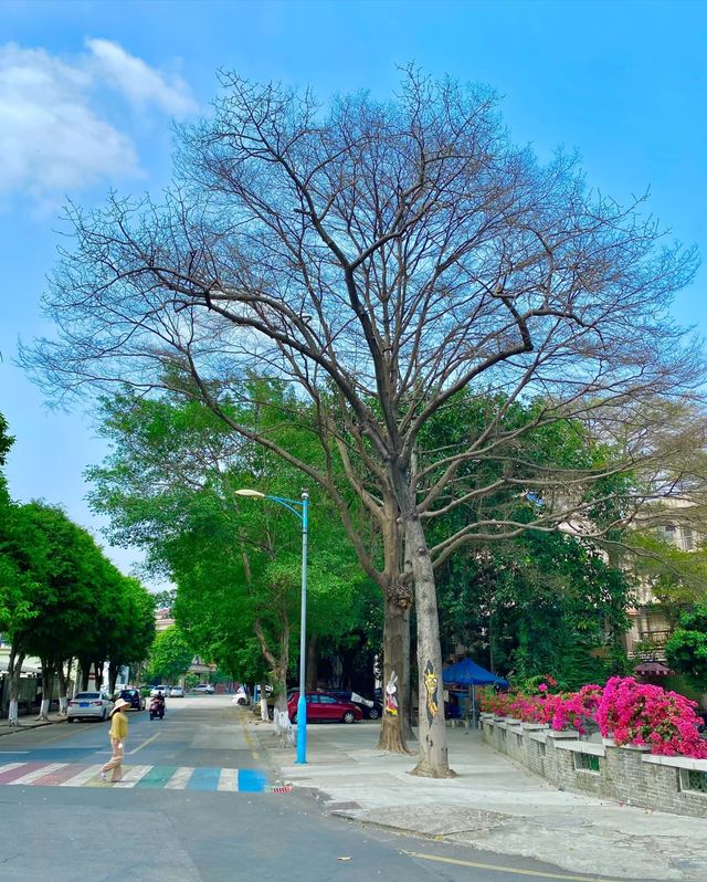 佛山順德大都村CityWalk，解鎖寶藏村落！