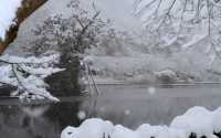【京都· 龍安寺雪景·2025】