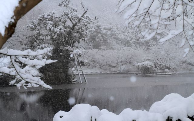【京都· 龍安寺雪景·2025】