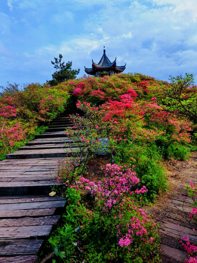 漫遊麻城，遇見湖北最美的山水畫卷，你準備好了嗎