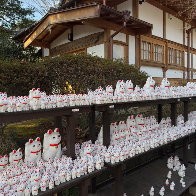 TOKYO🇯🇵一定要去東京最可愛的貓貓寺廟‼️