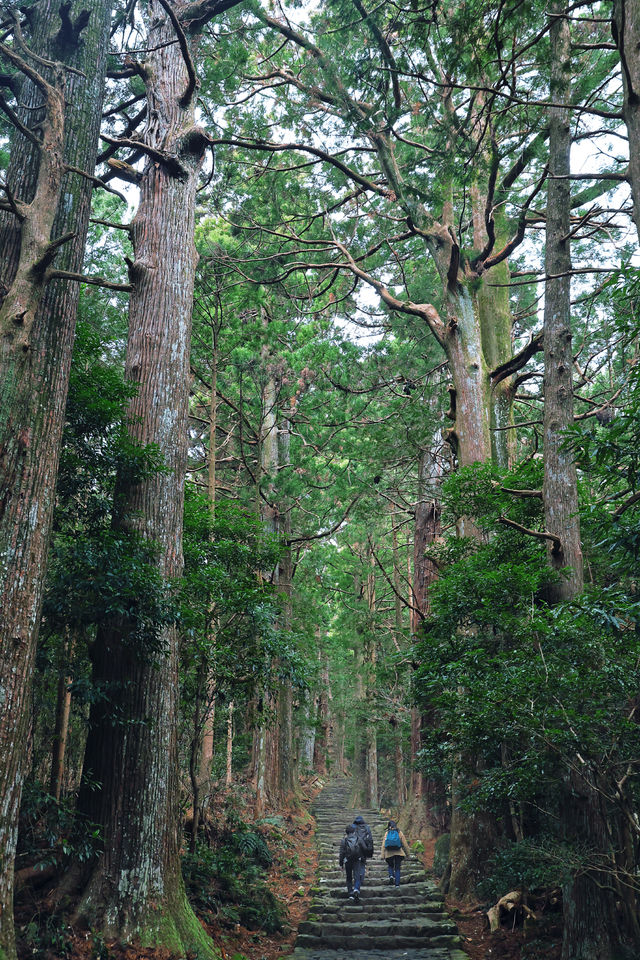 日本世界遺產那智山