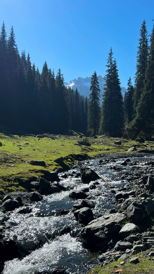 不在國外不在國外就在烏魯木齊南山