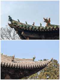 相信老祖宗的審美，不會錯！