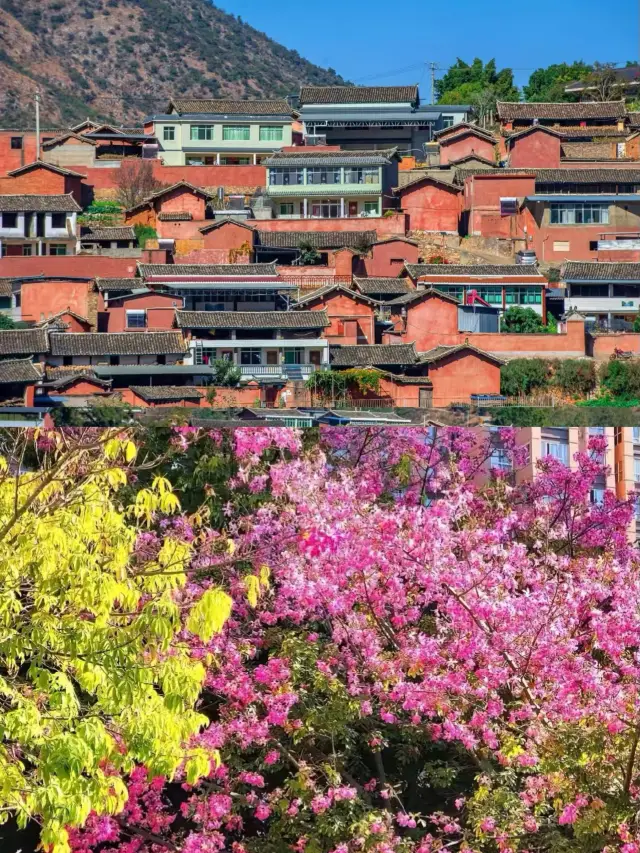 A Panzhihua Travel Guide Based on 3 Visits