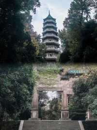 金陵靈谷寺：春日賞花踏青不容錯過