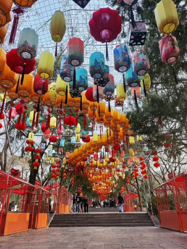 雖然說話不好聽，但這就是千佛山的現狀