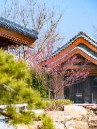 春有約｜與十二花神一起春遊曲阜尼山聖境！