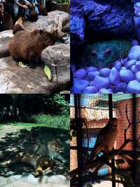 5. 北京野生動物園隱藏玩法，99% 的人都不知道？
