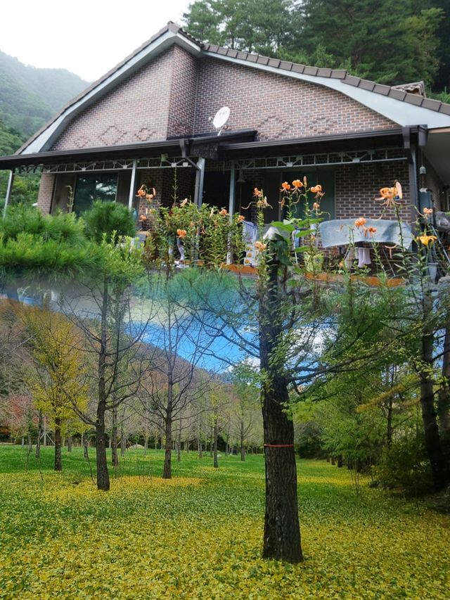 來韓國洪川郡感受獨特魅力