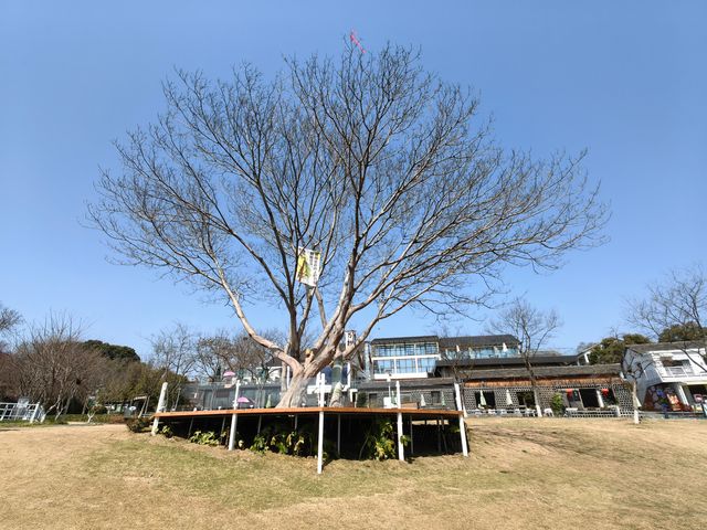 鄉伴蘇家理想村